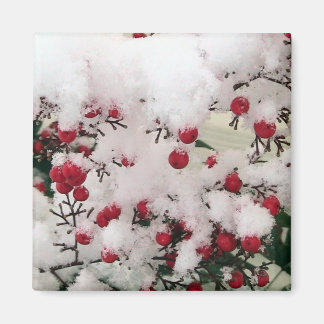 Snow Berries Magnet