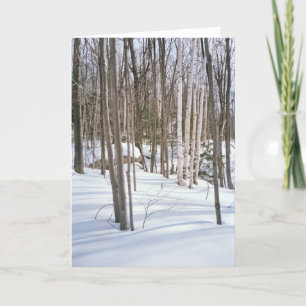 Snow Birches Holiday Card