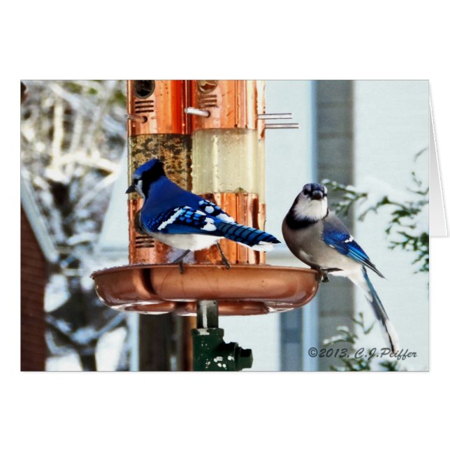 "Snow Birds 2" (Front Horizontal)
