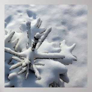 Snow blanket poster