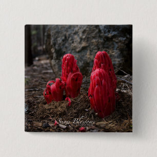 Snow Blossoms 2 Inch Square Button