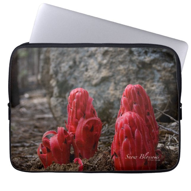 Snow Blossoms Laptop Sleeve (Front)