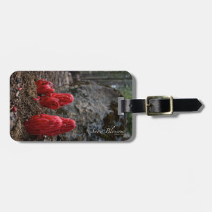 Snow Blossoms Luggage Tag