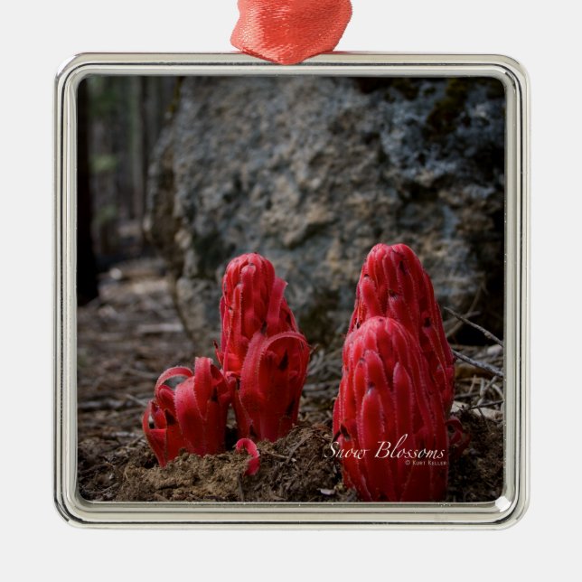 Snow Blossoms Metal Ornament (Front)