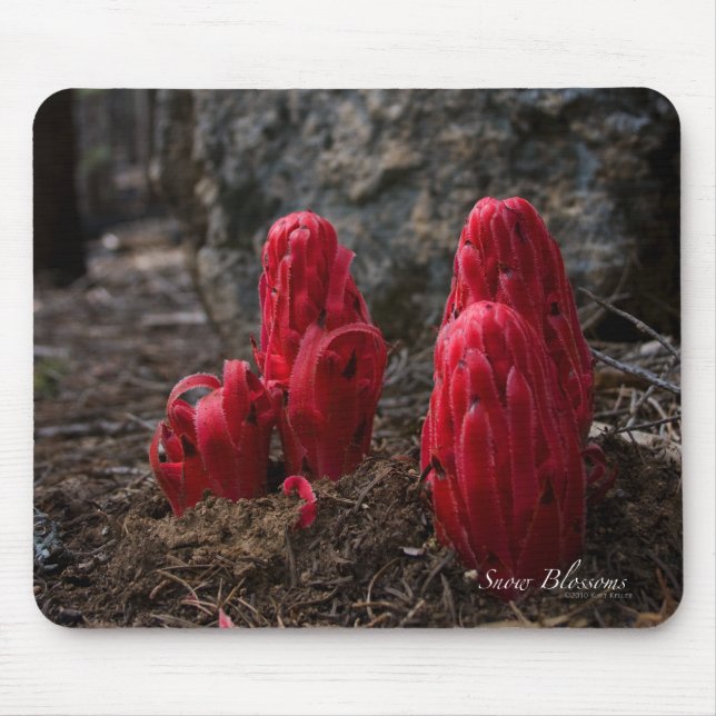 Snow Blossoms Mouse Pad (Front)