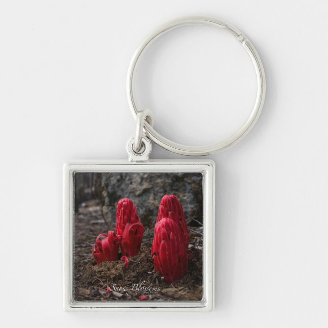 Snow Blossoms Photo Keychain (Front)