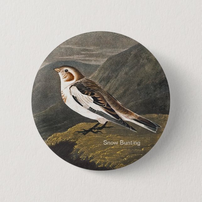 Snow Bunting by John James Audubon, Birders Bird 2 Inch Round Button (Front)