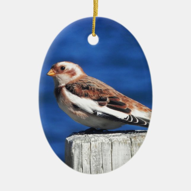 Snow Bunting Ceramic Ornament (Front)