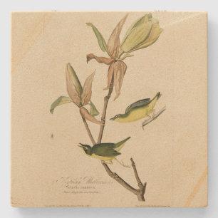 Snow Bunting John James Audubon's Birds of America Stone Coaster