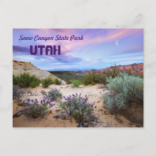 Snow Canyon State Park Utah Postcard