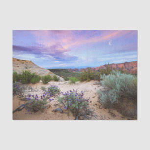 Snow Canyon Wildflowers in Utah Tissue Paper