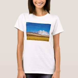 Snow - Capped Mountains And Puna Grassland T-Shirt
