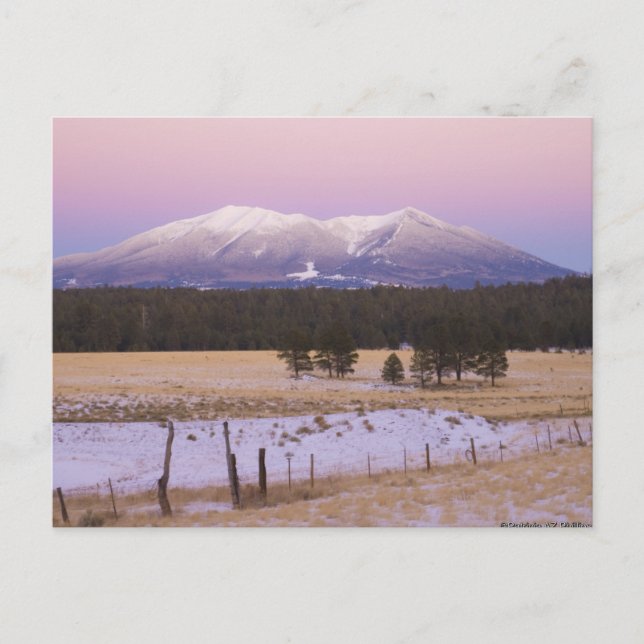 Snow Capped San Francisco Peaks at Sunset Postcard (Front)
