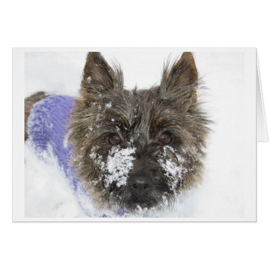 Snow! Card