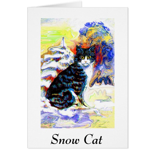 Snow cat (Front)
