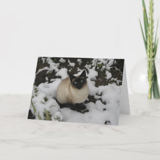 Snow Cat Card