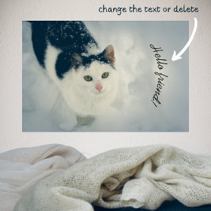Snow cat poster