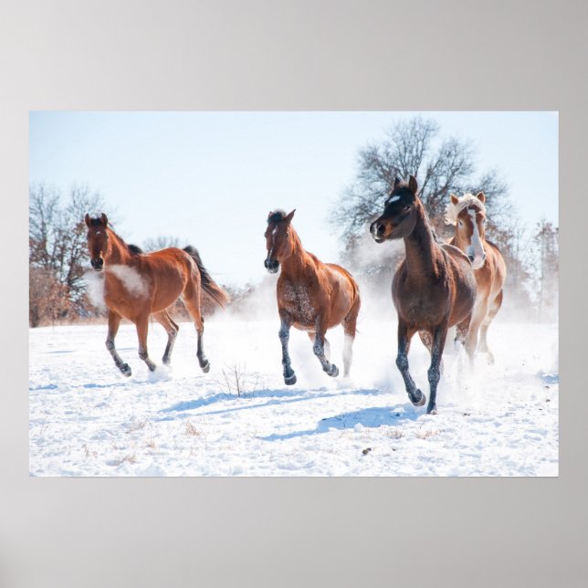 Snow Charge Poster (Front)