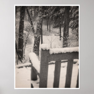Snow Covered Benches Poster