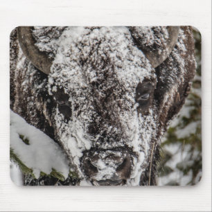 Snow Covered Bison Grand Teton Mouse Pad