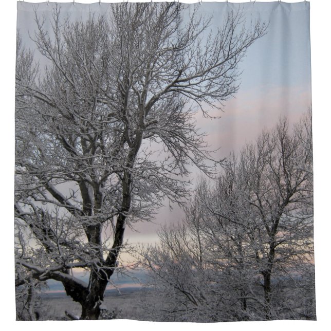 Snow Covered Branches (Front)