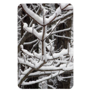 Snow-covered Branches Magnet
