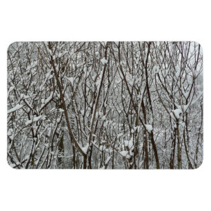 Snow Covered Branches Winter Abstract Magnet