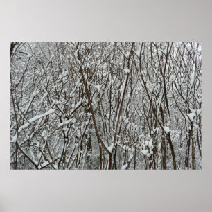 Snow Covered Branches Winter Poster
