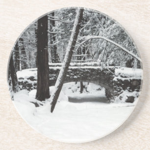 Snow Covered Bridge Coaster