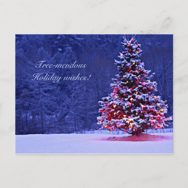 Snow Covered Christmas Tree Holiday Postcard (Front)