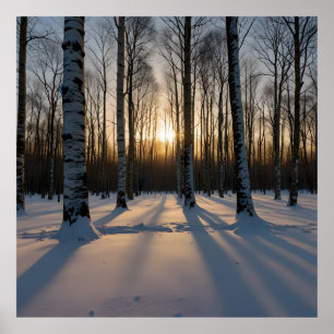 Snow-Covered Forest At Dusk Poster