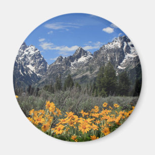 Snow Covered Grand Teton Range with Yellow Flowers Magnet