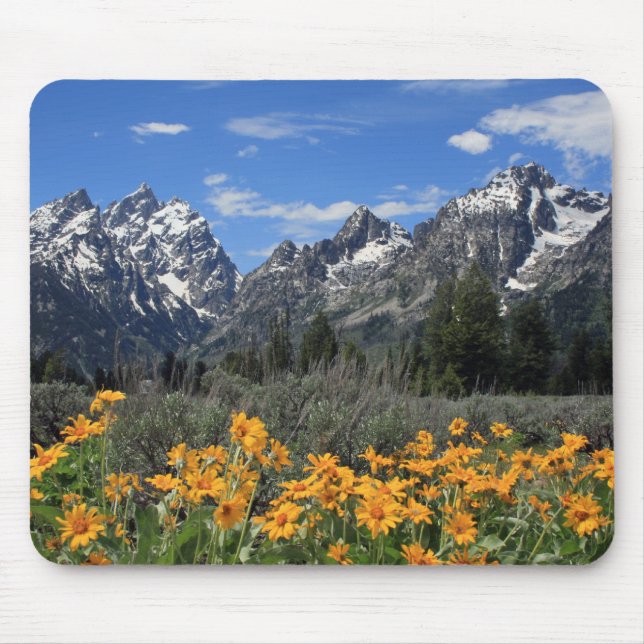 Snow Covered Grand Teton Range with Yellow Flowers Mouse Pad (Front)