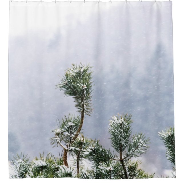 SNOW COVERED GREEN LEAF TREE (Front)