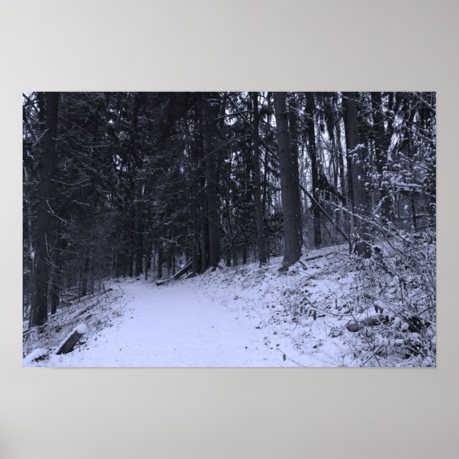 Snow Covered Hiking Trail 2 Poster (Front)