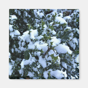 Snow-covered Holly Magnet