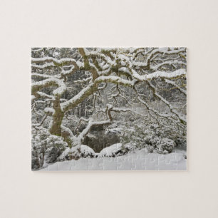Snow-covered Japanese maple 2 Jigsaw Puzzle