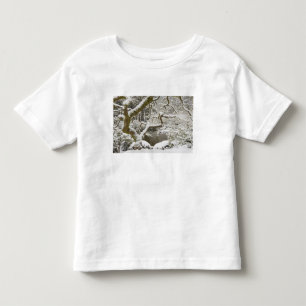 Snow-covered Japanese maple Toddler T-shirt