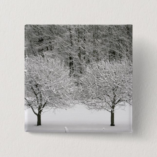 Snow covered landscape 2 inch square button (Front)