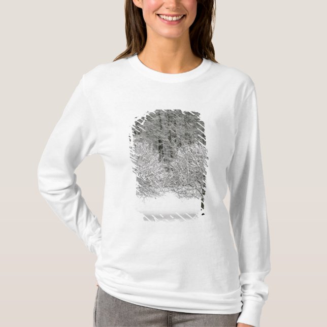 Snow covered landscape T-Shirt (Front)