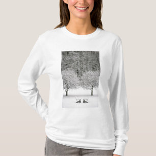 Snow covered landscape T-Shirt