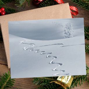 Snow covered landscape with ski tracks tree birds postcard