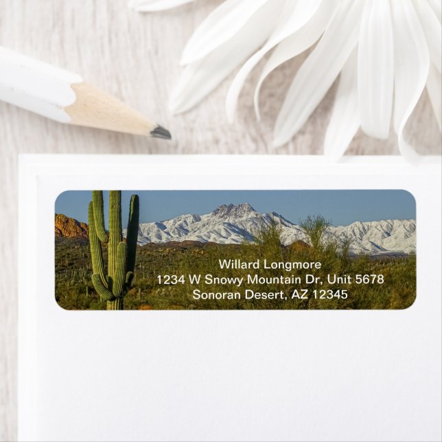 Snow Covered Mountains Saguaro Cactus Arizona USA (Insitu)