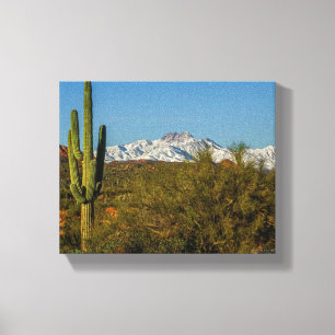Snow Covered Mountains Saguaro Cactus Arizona USA Canvas Print