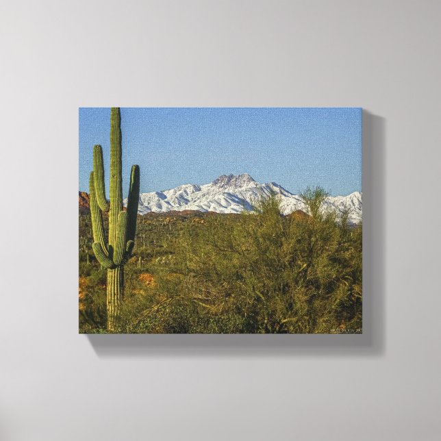 Snow Covered Mountains Saguaro Cactus Arizona USA Canvas Print (Front)