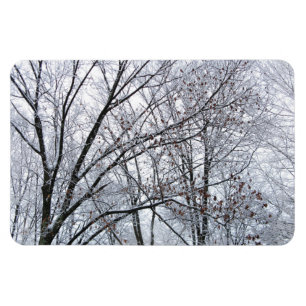 Snow-covered Oak Tree Magnet
