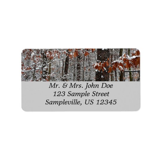 Snow Covered Oak Trees Winter Nature Photography