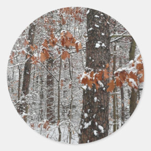 Snow Covered Oak Trees Winter Nature Photography Classic Round Sticker