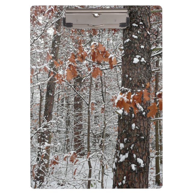 Snow Covered Oak Trees Winter Nature Photography Clipboard (Front)