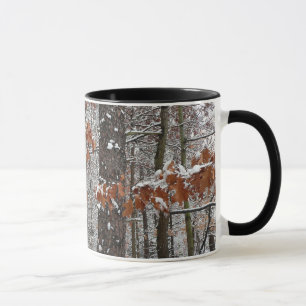 Snow Covered Oak Trees Winter Nature Photography Mug